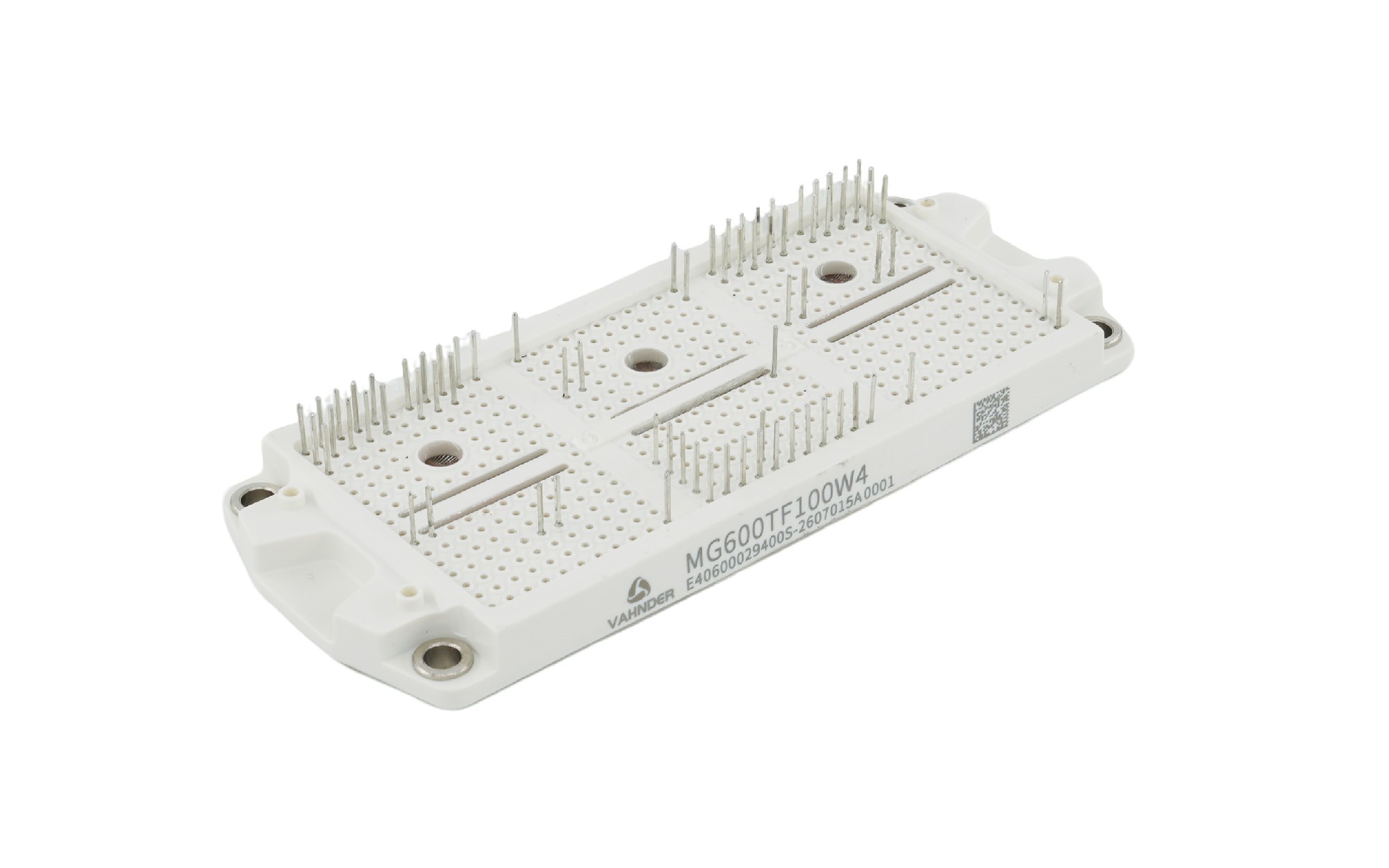 IGBT Module MG600TF100W4