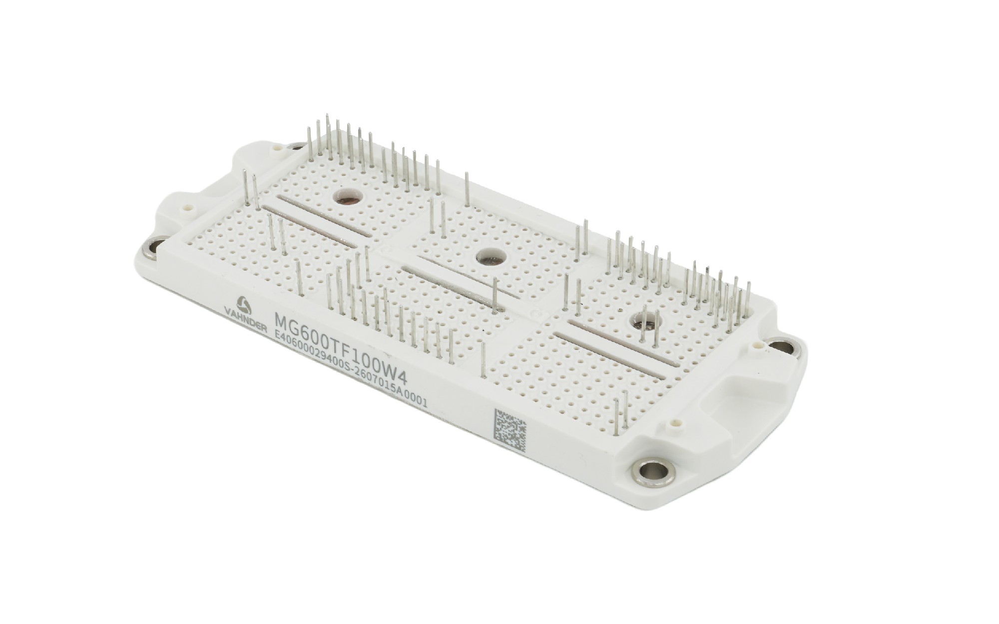 IGBT Module MG600TF100W4